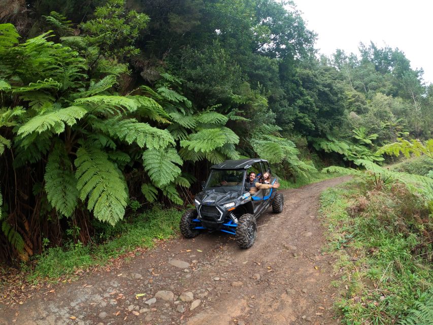 Madeira Private Buggy Adventure: Mountains and Forests - Stop rhythm and photo moments that actually help