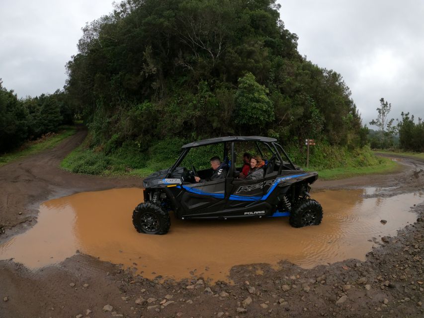 Madeira Private Buggy Adventure: Mountains and Forests - Price and value: what $212 buys in real terms