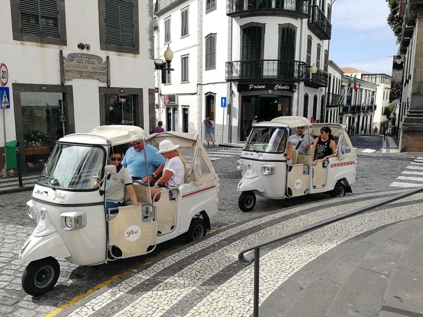 Madeira: Private Funchal City Tour in a Tukxi - Around-the-city loop: municipal garden and Santa Catarina Park feel