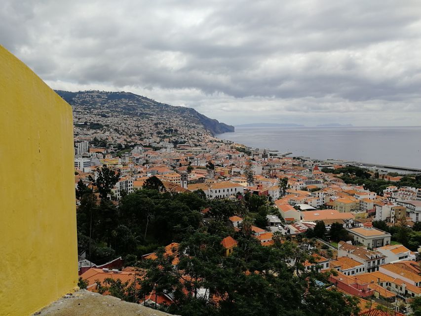 Madeira: Private Funchal City Tour in a Tukxi - Museu Quinta das Cruzes: a calmer break with strong historical flavor