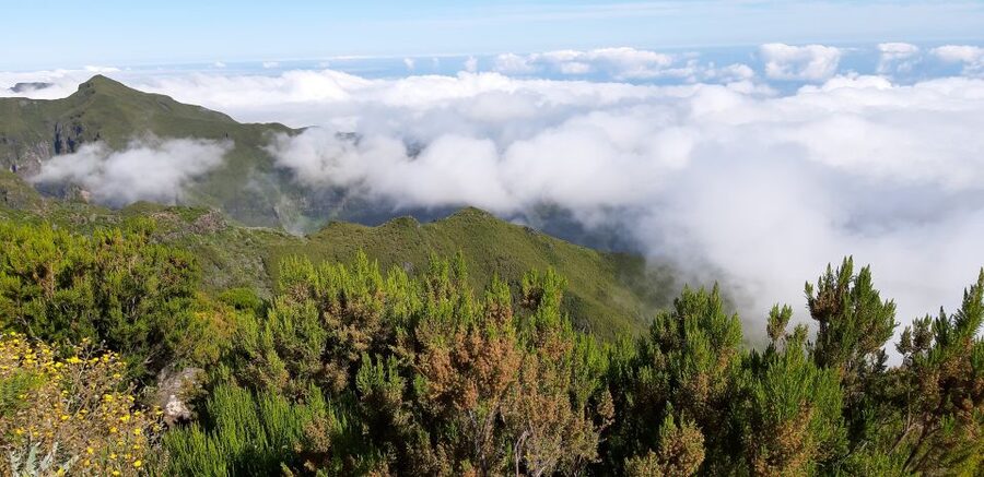 Madeira: Private Guided Achadas Teixeira - Pico Ruivo PR1.1 - What You’ll See: Peaks, Farms, Sea Air, and Fast-Changing Clouds