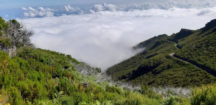 Madeira: Private Guided Achadas Teixeira - Pico Ruivo PR1.1 - The Walk to Madeira’s Highest Peak (About 5.4 km)
