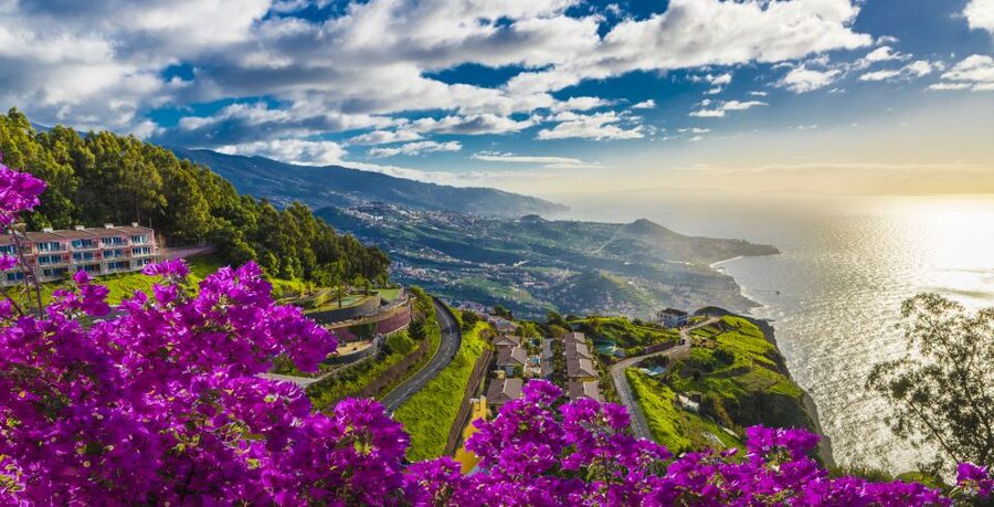 Madeira: Private Guided Cabo Girão Tour - Why this Cabo Girão and Câmara de Lobos route feels efficient