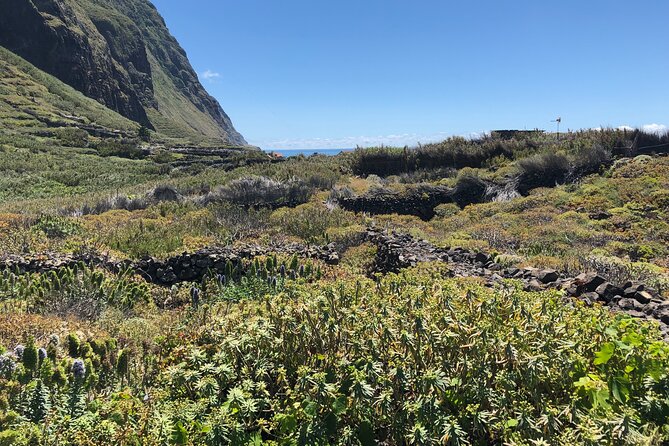 Madeira: Private Guided Half-Day Tour of Northwest Madeira - Optional add-on: the steepest cable car in Europe (when it’s running)