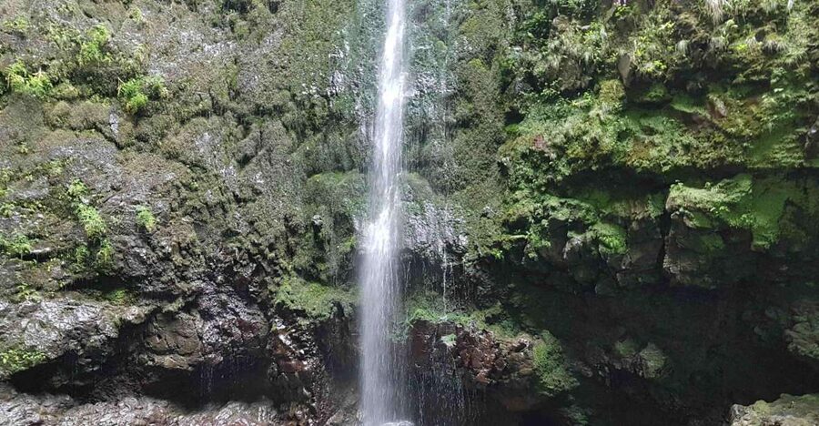 Madeira: Private Guided Levada Caldeirão Verde Walk PR9 - Madeira’s PR9 Levada Walk: Why This One Feels Personal