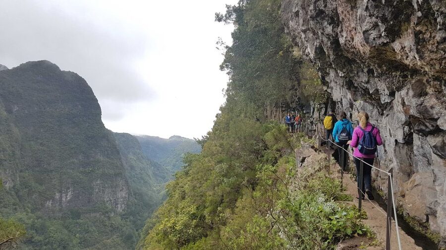 Madeira: Private Guided Levada Caldeirão Verde Walk PR9 - Queimadas’ House to the Trailhead: The Fairy-Tale Start That Sets Expectations