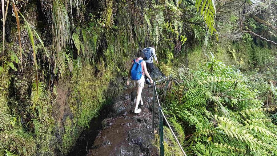 Madeira: Private Guided Levada Caldeirão Verde Walk PR9 - Caldeirão Verde Waterfall: The Big Payoff at the End of PR9