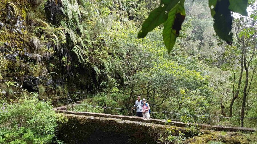 Madeira: Private Guided Levada Caldeirão Verde Walk PR9 - Price and Value: Is $117 Worth It?