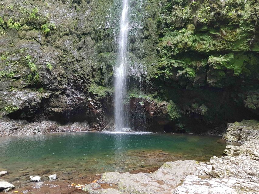 Madeira: Private Guided Levada Caldeirão Verde Walk PR9 - Following the Levada: Water Sounds, Fauna Spots, and Tunnel Reality