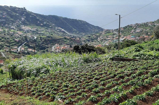 Madeira: Private Guided Levada do Norte Walk - What the guided levada walk feels like on the ground