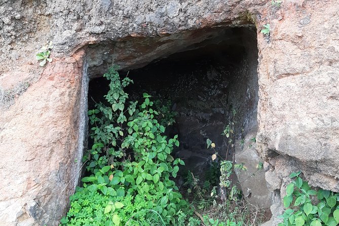 Madeira: Private Guided Levada do Norte Walk - Guide talk: levadas, island history, and smarter sightseeing