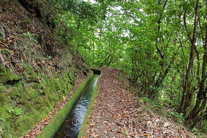 Madeira: Private Guided Levada dos Tornos Boaventura Hike - Key highlights at a glance