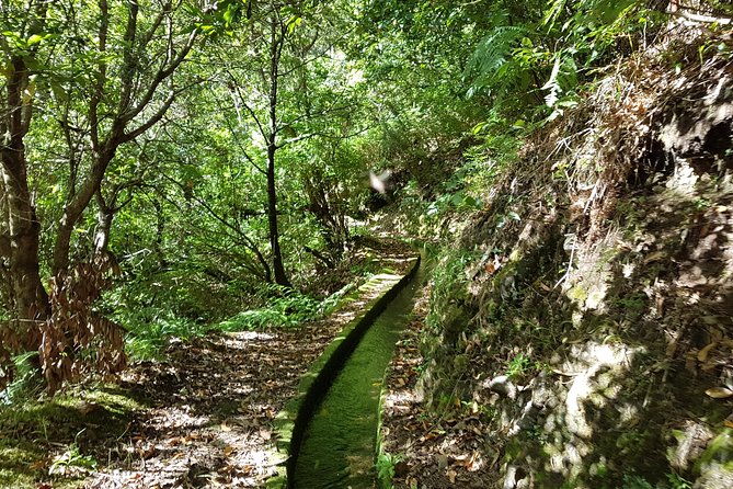 Madeira: Private Guided Levada dos Tornos Boaventura Hike - Levada dos Tornos: why this hike feels different