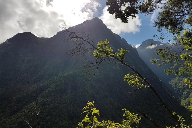 Madeira: Private Guided Levada dos Tornos Boaventura Hike - The hike to the start of Levada dos Tornos: water, green corridors, and quiet moments