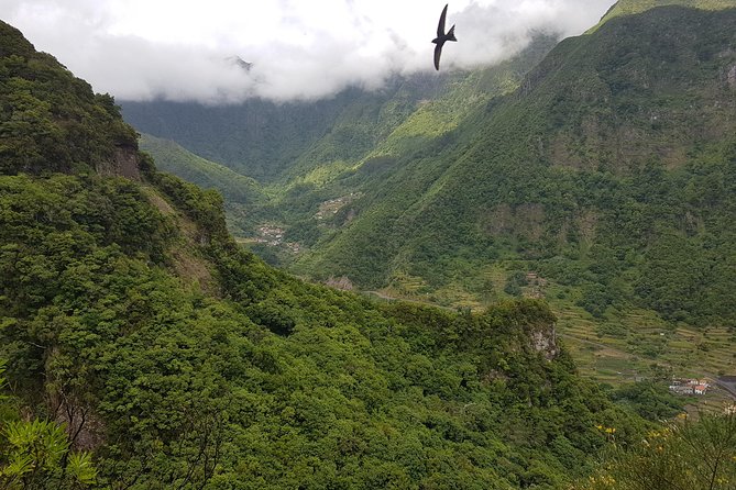 Madeira: Private Guided Levada dos Tornos Boaventura Hike - Weather on Madeira: what all-weather operation means for you