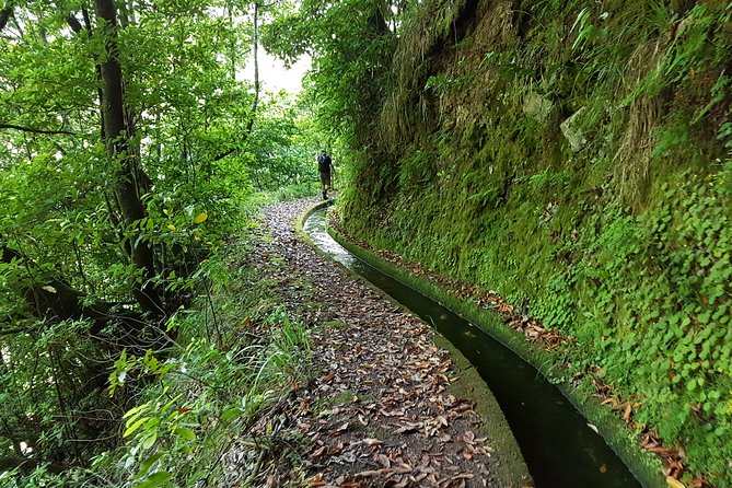 Madeira: Private Guided Levada dos Tornos Boaventura Hike - Boaventura start: setting context before you start walking
