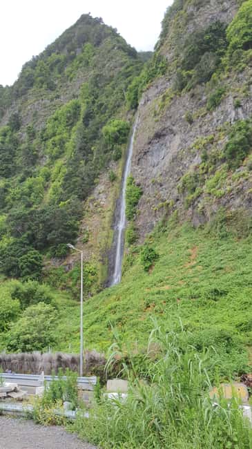Madeira: Private Guided Tour with Electric Cars - Câmara de Lobos: a satisfying end with local flavor