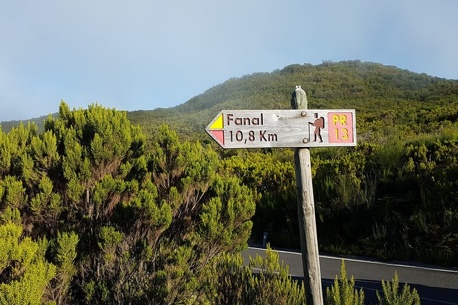 Madeira: Private Guided Walk Vereda Fanal PR13 - Key moments you’ll notice on this PR13 walk
