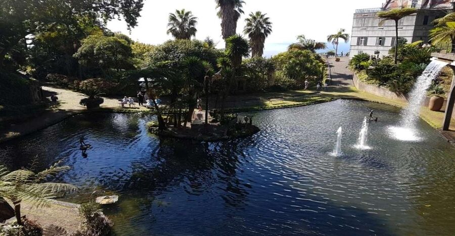 Madeira: Private Half-Day Guided Gardens Tour - Monte Palace Tropical Garden: Portuguese Story Meets Animal Encounters
