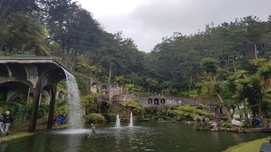Madeira: Private Half-Day Guided Gardens Tour - Garden of the Atlantic: Why 2,500+ Species Still Works in 4 Hours
