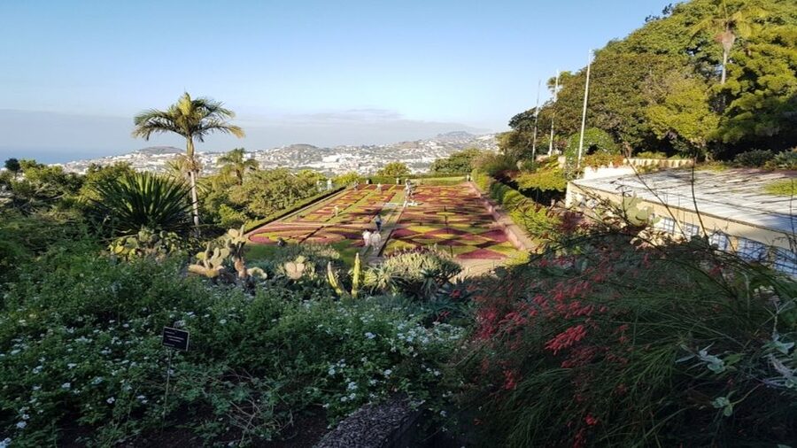 Madeira: Private Half-Day Guided Gardens Tour - 70,000 Square Meters, So Wear Footwear You Trust
