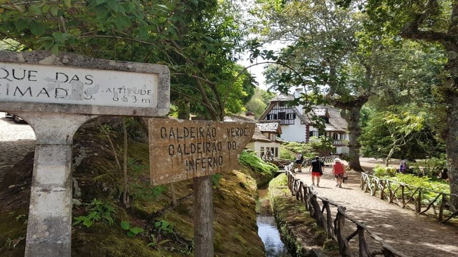 Madeira: Private Half-Day North East Island Tour - Private Driver and Local Guide: Why the Time Feels Full
