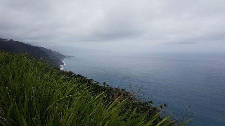 Madeira: Private Half-Day North East Island Tour - Where This Tour Fits Best (and Where It Doesn’t)