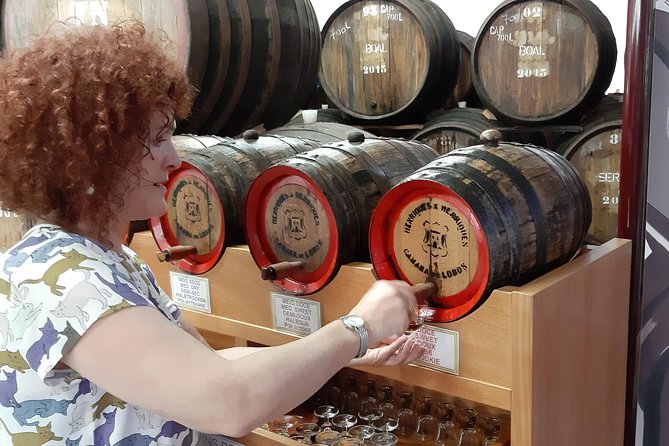 Madeira: Private Half-Day Wine Tasting Tour - A private half-day Madeira wine tasting that ties wine to place