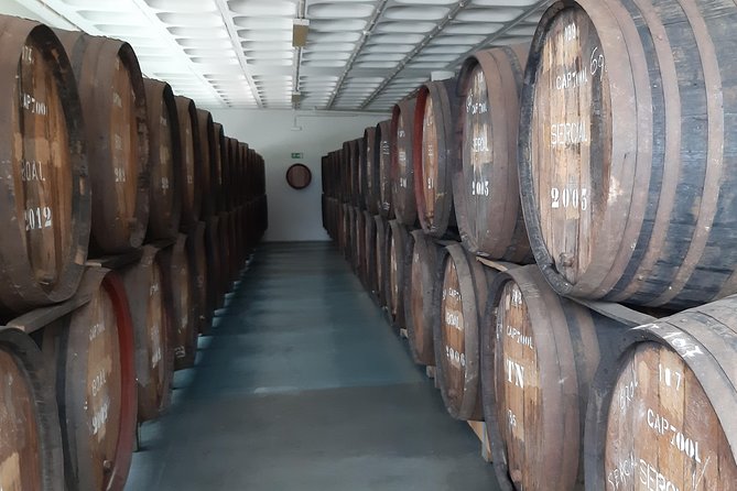 Madeira: Private Half-Day Wine Tasting Tour - Camara de Lobos viewpoints: Rancho viewpoint and Pico da Torre