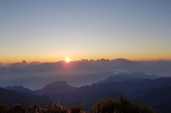 Madeira Private Jeep 4x4: Old Forest Full-Day Tour incl Pico Arieiro - Balcões de Ribeiro Frio: Laurisilva-side walking and a real nature break
