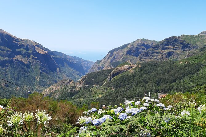 Madeira: Private Laurisilva Tour - The levada walk through Laurisilva: short, but meaningful