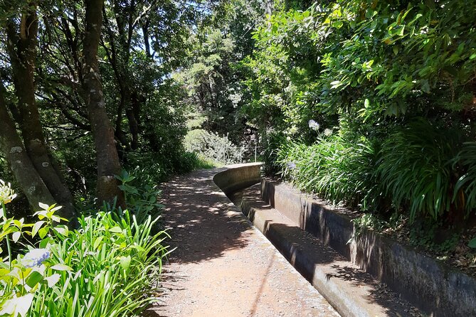 Madeira: Private Laurisilva Tour - Price and value: $139.63 per group for up to 4 people
