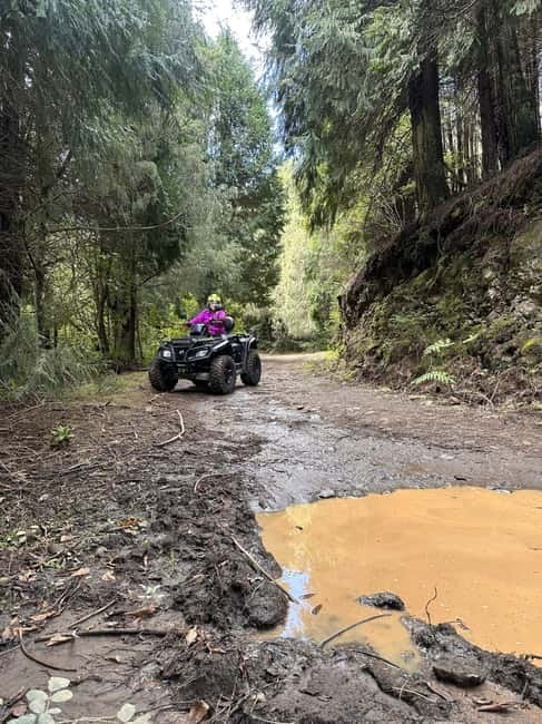 Madeira:Private Mountain Quad Adventure–Explore Wild Madeira - Boca das Voltas: the viewpoint you reach by quad, not by car