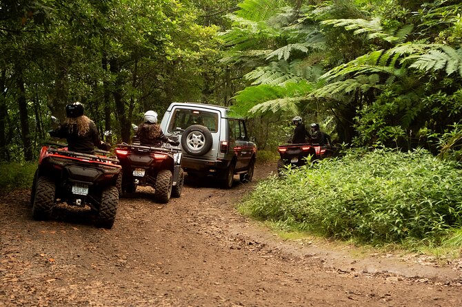 Madeira Private Off-road Quad Bike Experience - Price and value: $167 per group for a private off-road day