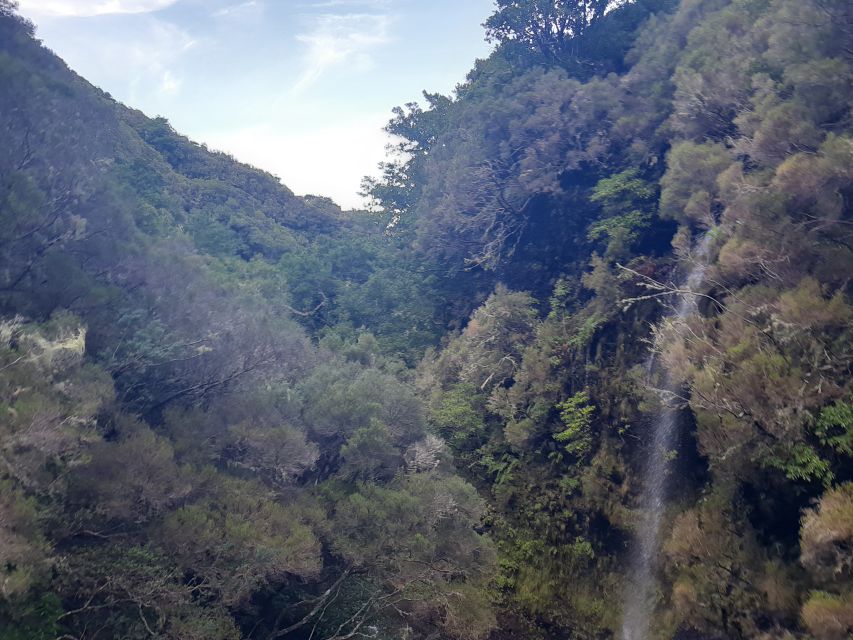 Madeira: Private Walking Tour of Levada das 25 Fontes PR6 - Why Levada das 25 Fontes Hits Different Than a Typical Walk
