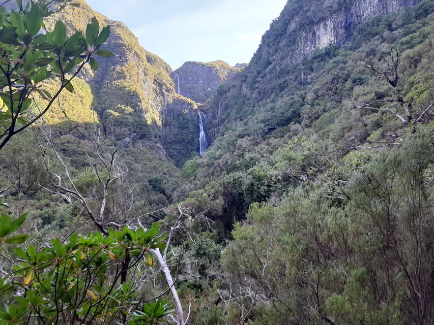 Madeira: Private Walking Tour of Levada das 25 Fontes PR6 - Should You Book This Madeira Levada Tour?