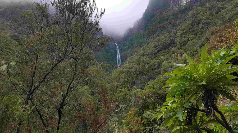 Madeira: Private Walking Tour of Levada das 25 Fontes PR6 - Following the Water to the Payoff: 25 Fontes, Waterfalls, and a Lagoon