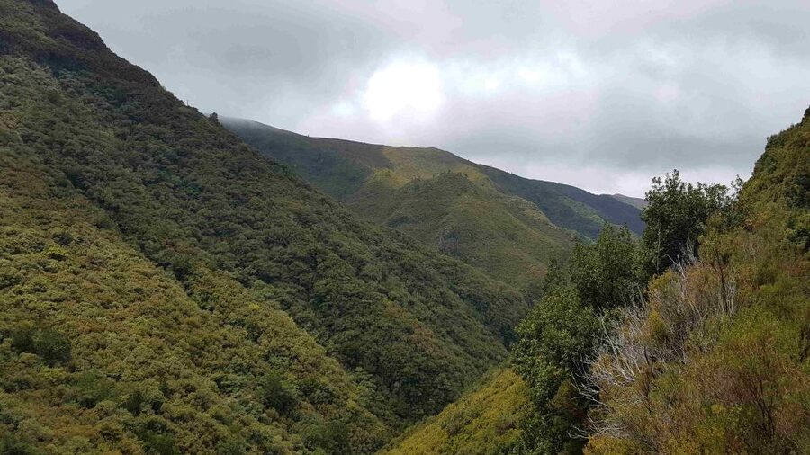 Madeira: Private Walking Tour of Levada das 25 Fontes PR6 - Viewpoints and Storytelling: Why the Private Guide Makes It Worth Paying For