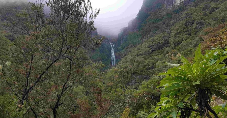 Madeira: Private Walking Tour of Levada das 25 Fontes PR6 - Price and Value: What $117 Gets You on a Private Trail