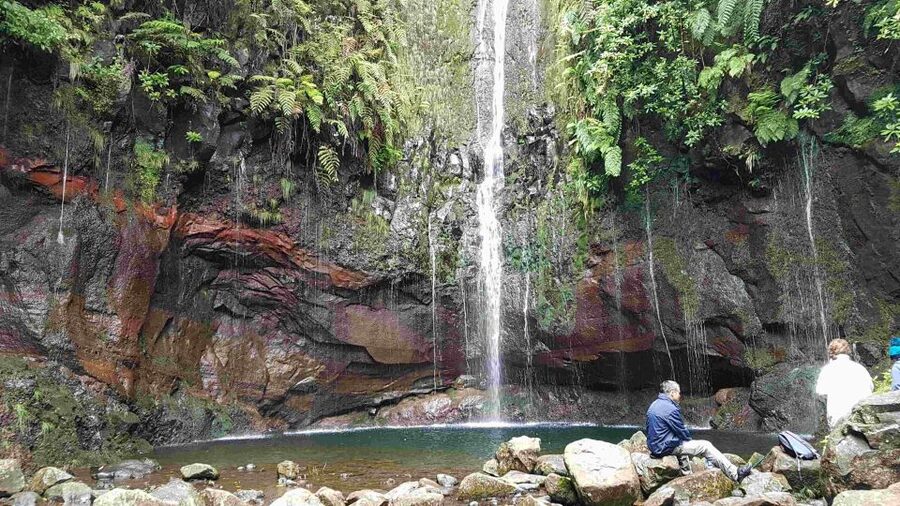 Madeira: Private Walking Tour of Levada das 25 Fontes PR6 - Best Fit: Who Will Enjoy This Levada Tour Most