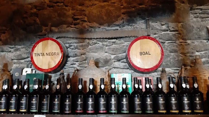 Madeira: Private Weekend Wine Tasting in São Vicente - Price vs value: is $117 per person worth it?