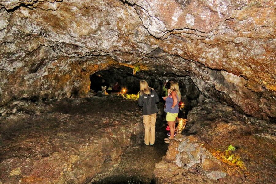 Madeira : Private wine experience by 4WD - Who should book (and who should skip) this 4x4 wine day