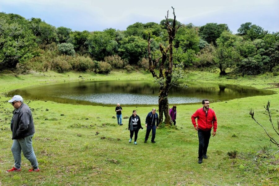 Madeira : Private wine experience by 4WD - Should you book this Madeira private wine and 4x4 tour?