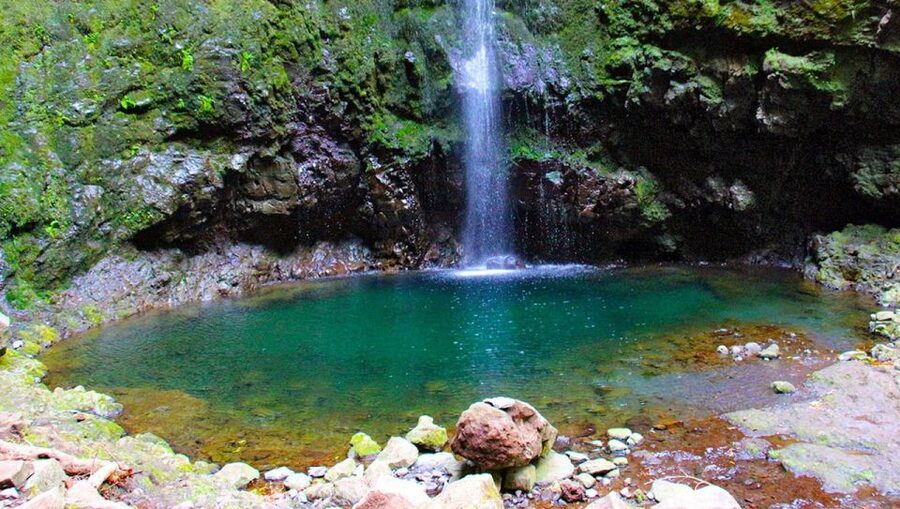 Madeira: Queimadas, Caldeirão Verde and Levada Walk - Key highlights