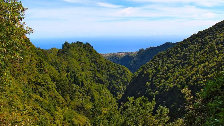 Madeira: Queimadas, Caldeirão Verde and Levada Walk - Caldeirão Verde and Levada da Serra de São Jorge: what this day is really about