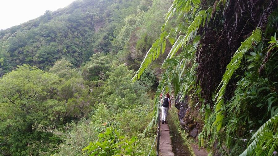 Madeira: Queimadas, Caldeirão Verde and Levada Walk - Caldeirão Verde waterfall: the moment the hike earns its name
