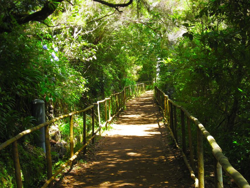 Madeira: Queimadas, Caldeirão Verde and Levada Walk - Pickup, meeting points, and how to avoid morning stress