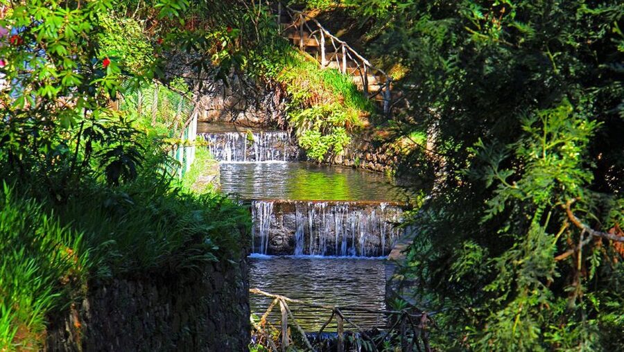 Madeira: Queimadas, Caldeirão Verde and Levada Walk - What to pack for Madeira: rain-ready clothes and real hiking shoes