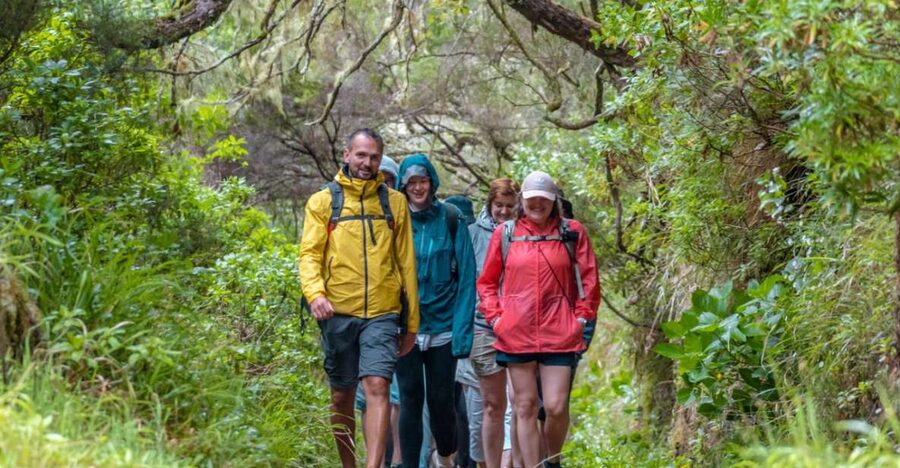 Madeira: Rabaçal 25 Fountains Levada Walk & Cabo Girão - What to bring (and what can make or break this day)