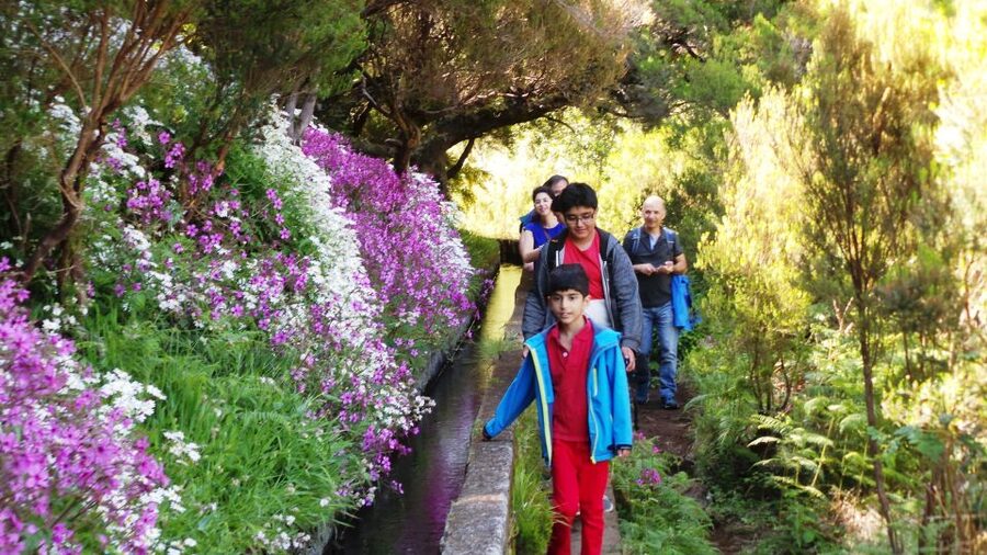 Madeira: Rabaçal 25 Fountains Levada Walk & Cabo Girão - A full Madeira day: Rabaçal levada, 4x4 fun, and Cabo Girão